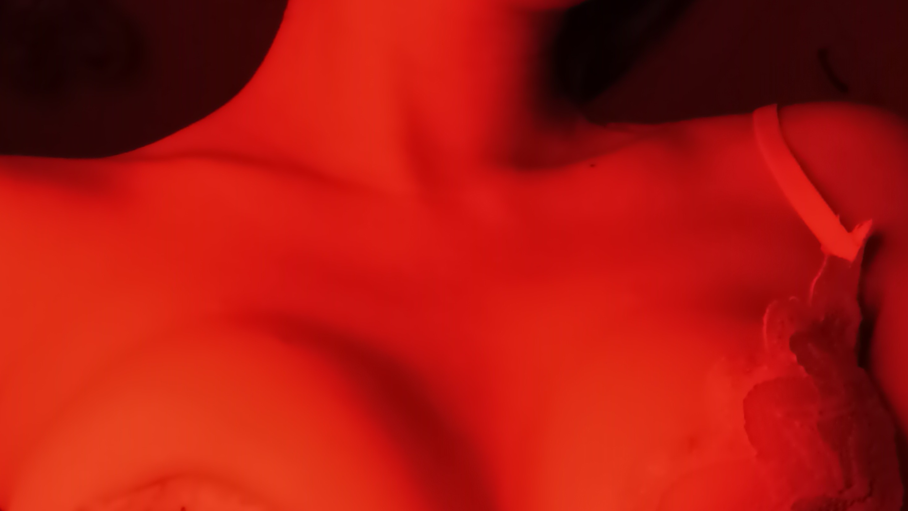 ๐๏ธ๐
๐๏ธ banner image