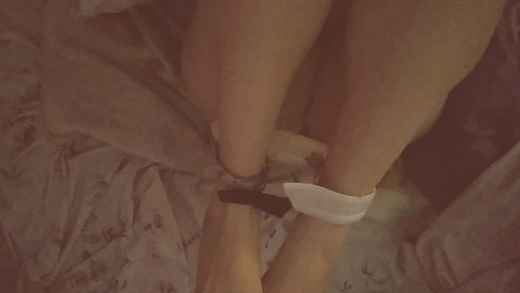 SHANETT👄🐷🤑 banner image