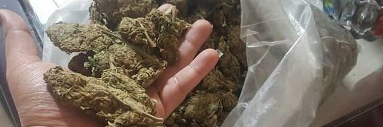 Giuska420 cover image