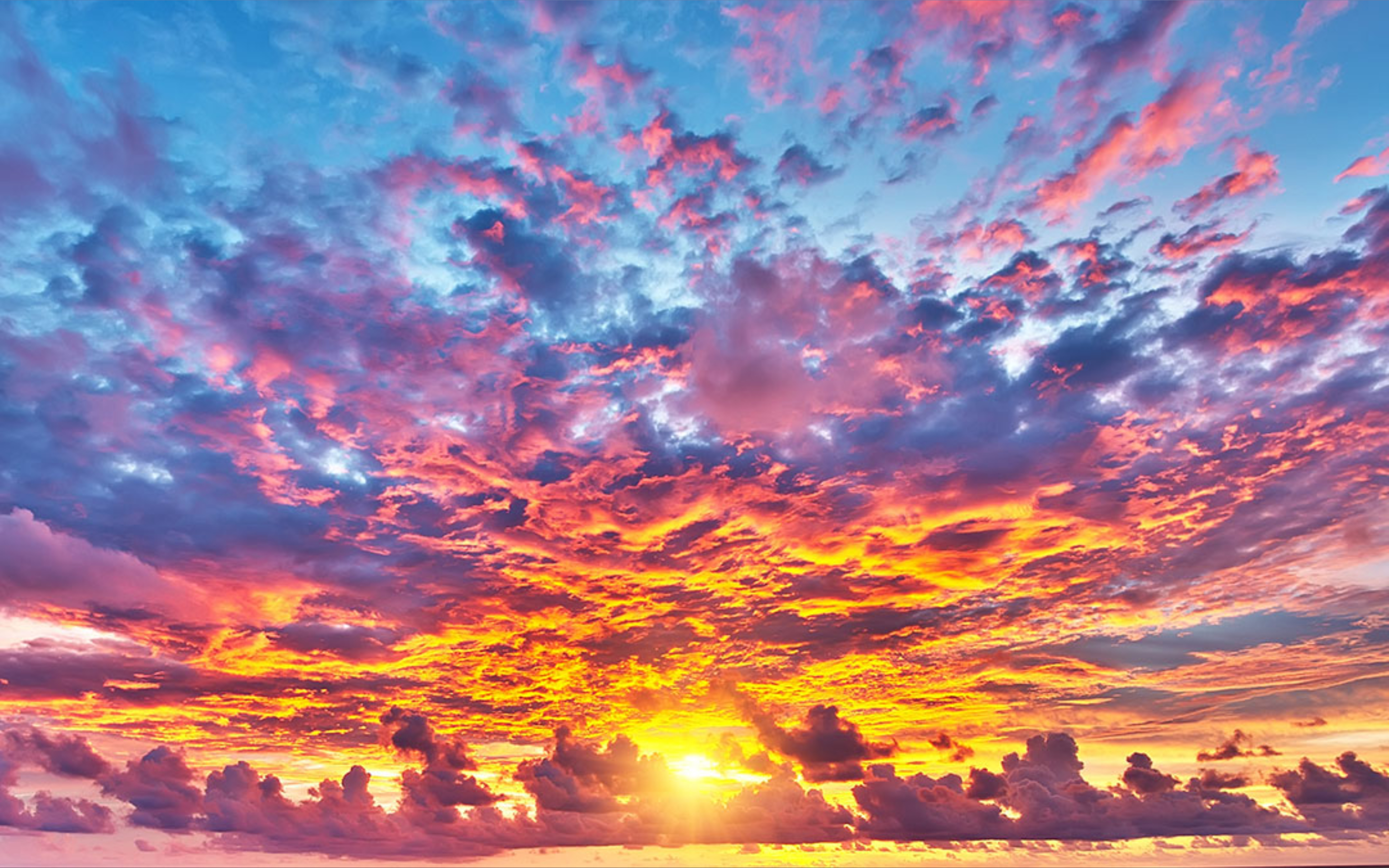 G banner image