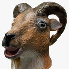 Goat Dick avatar