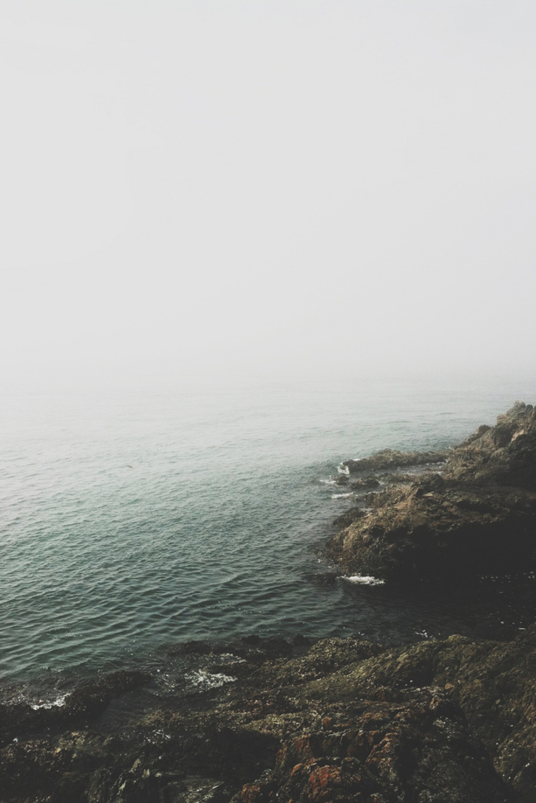 u30366555 cover image