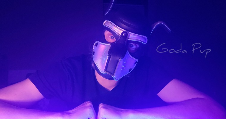Goda Pup Free Subscription! banner image