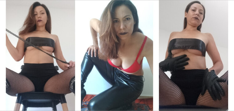 Cindy Diezs banner image