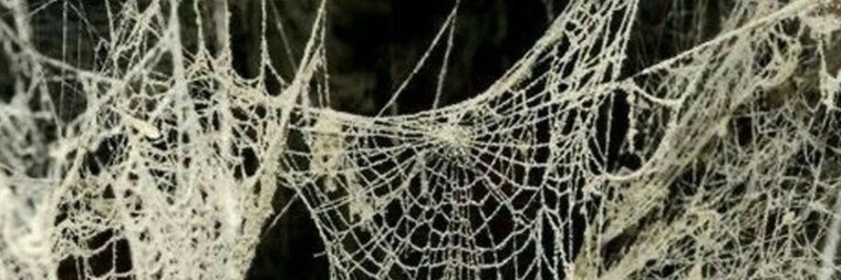 Artie banner image