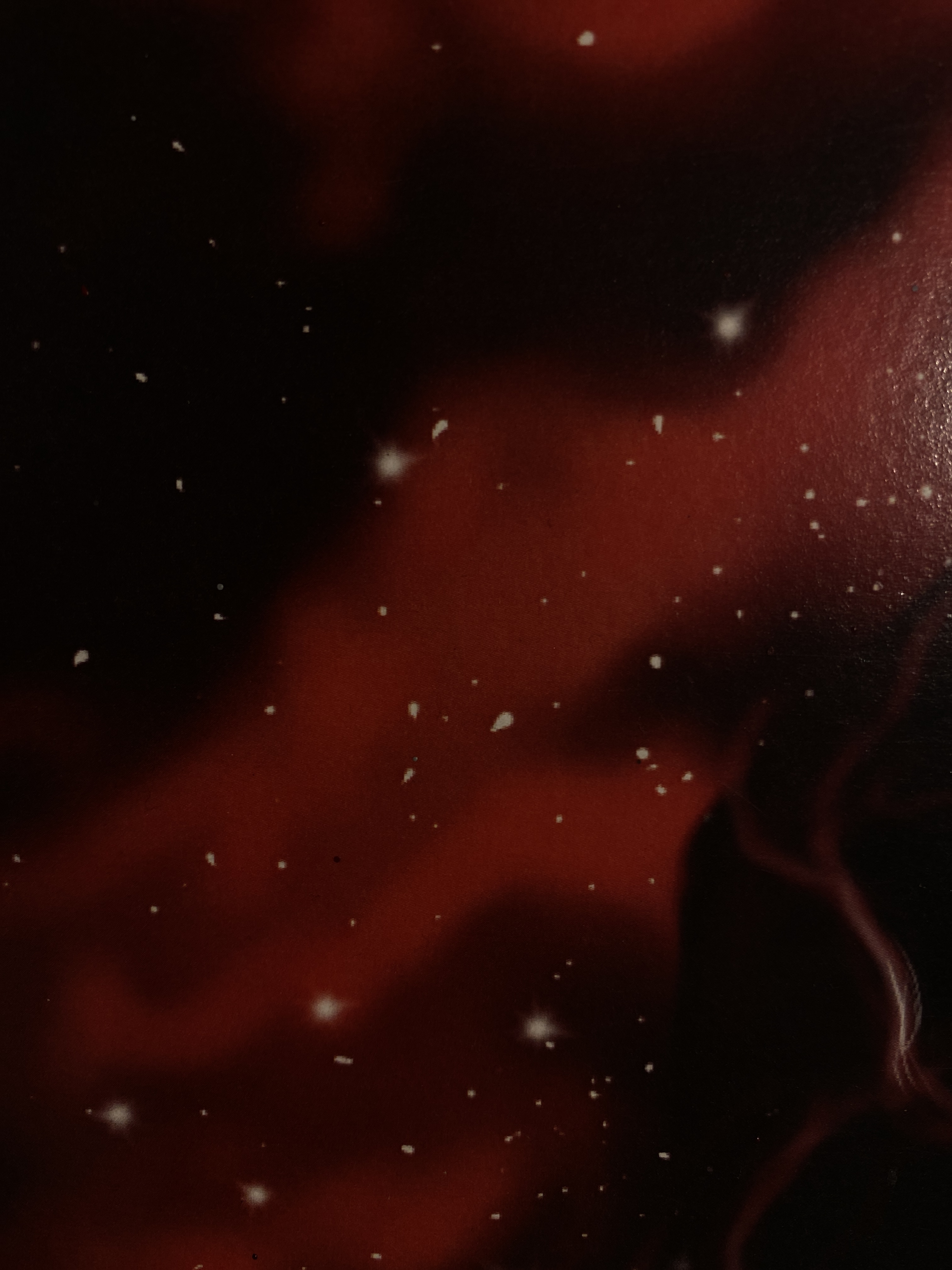 Liz banner image
