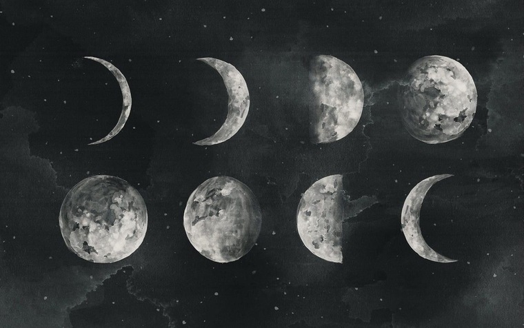 Coastie banner image