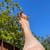 GoddessFeet avatar