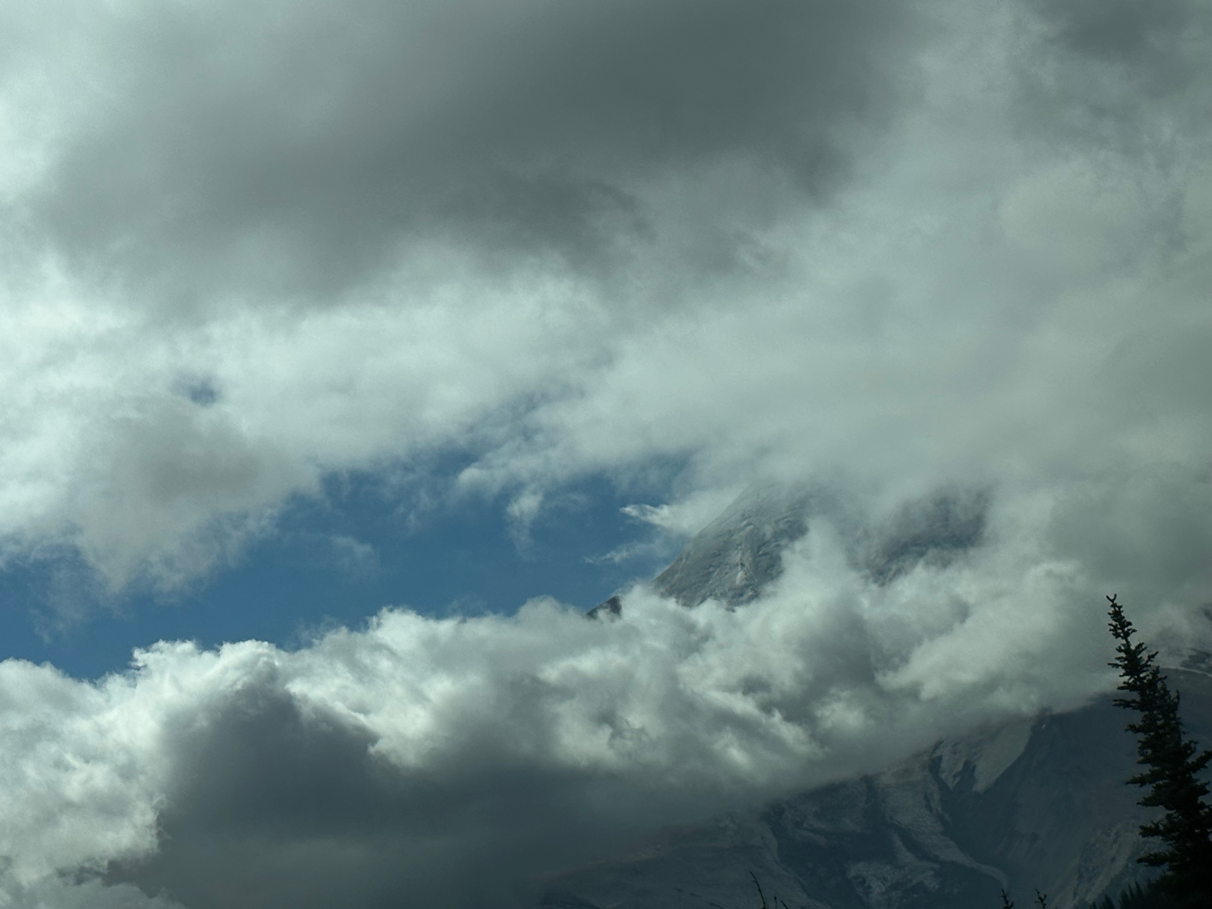 Goddess Kiki banner image