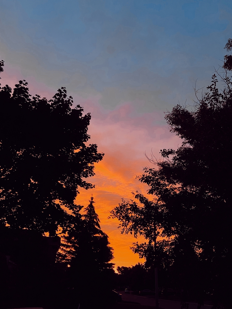 u91095273 cover image