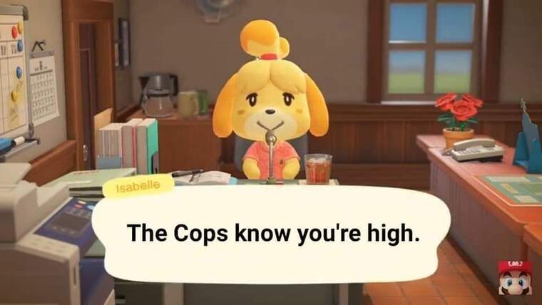 Daisy banner image