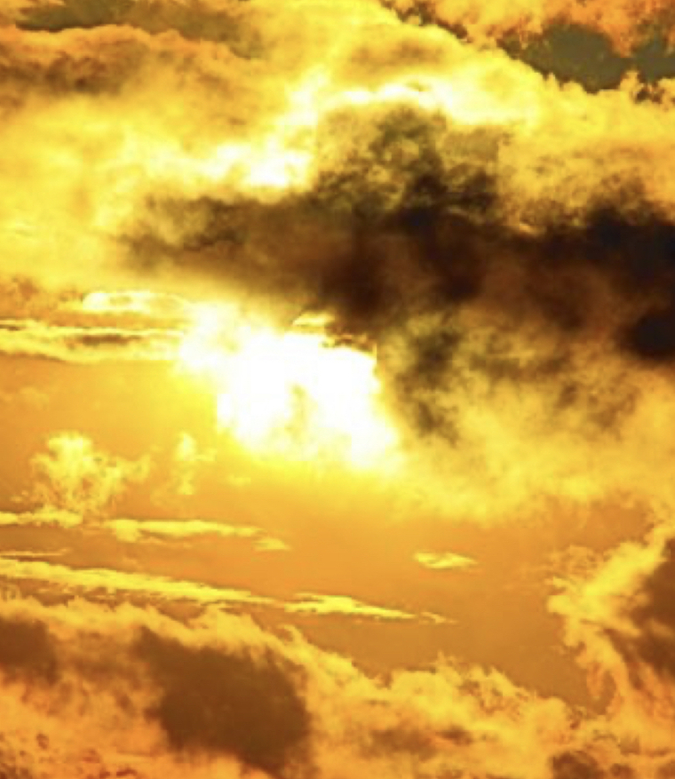 Golden breeze cover image