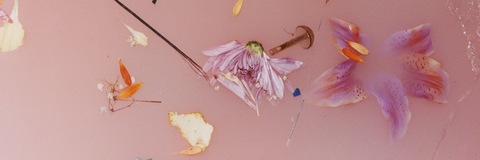 Golden Honey cover image