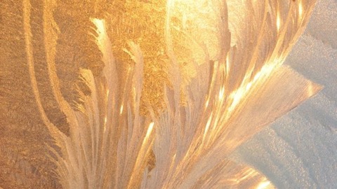 Goddess Mae Golden cover image