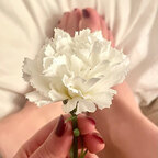 GoldenSoles avatar