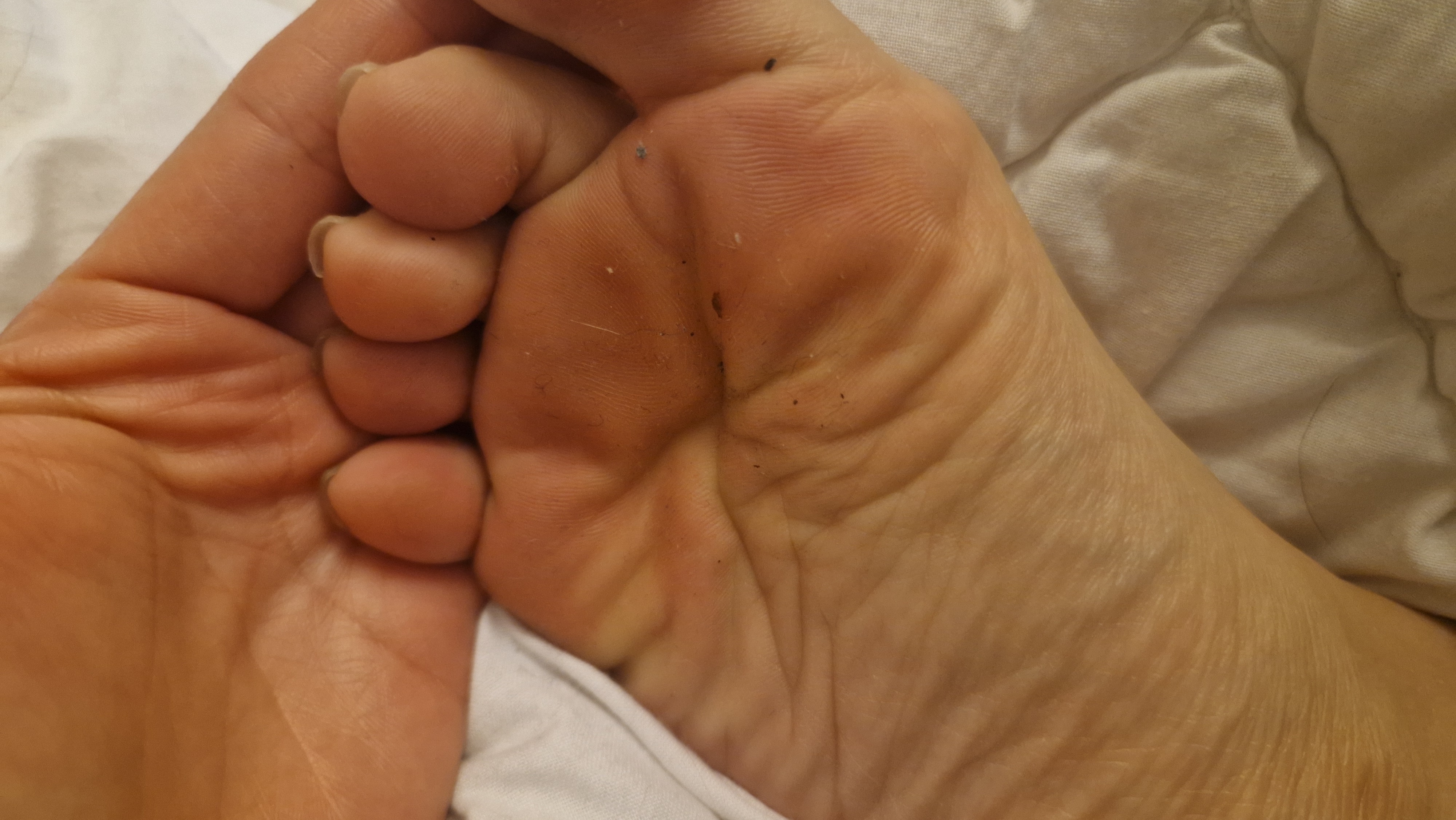 Goldfeet banner image
