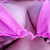 Goddess Zia avatar