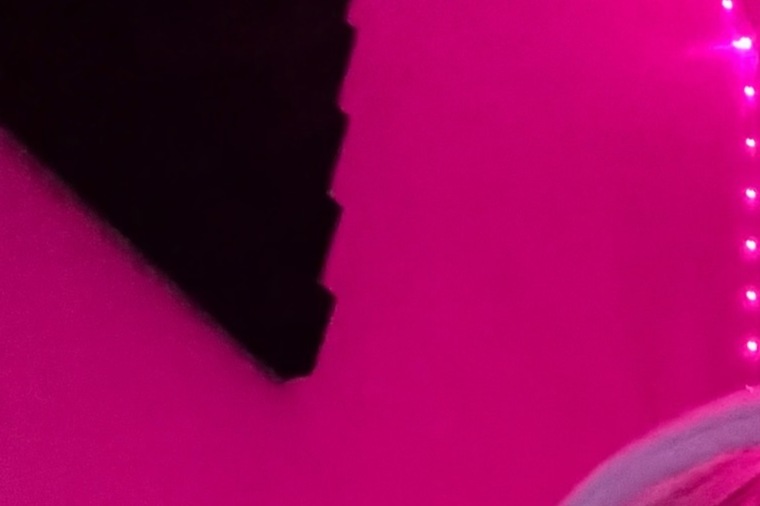 Angel🪽 cover image