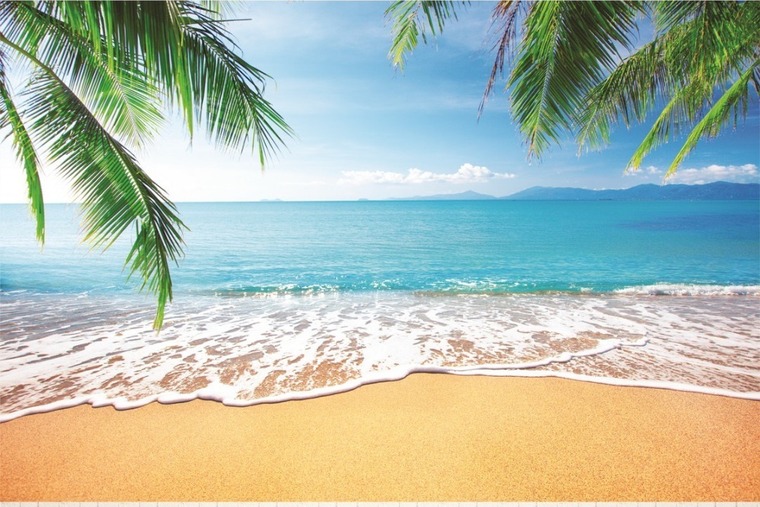 Willames cover image