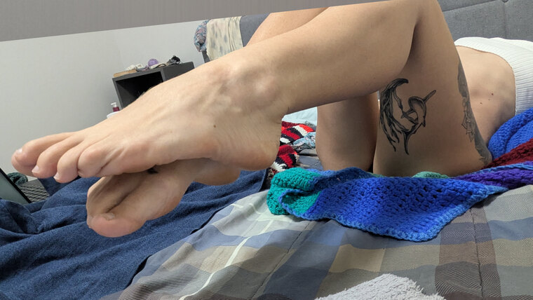 Touchmypetiole cover image