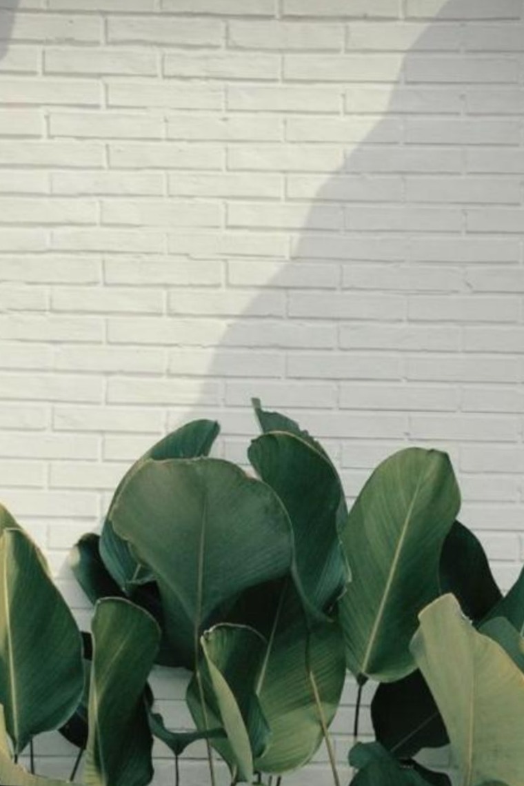 Yuliana cover image