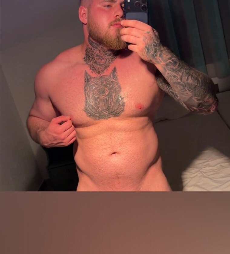 Gorilla🦍 cover image