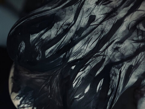 Gothfox cover image