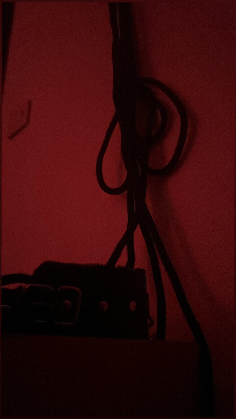 Meis🕷️🕸️ cover image