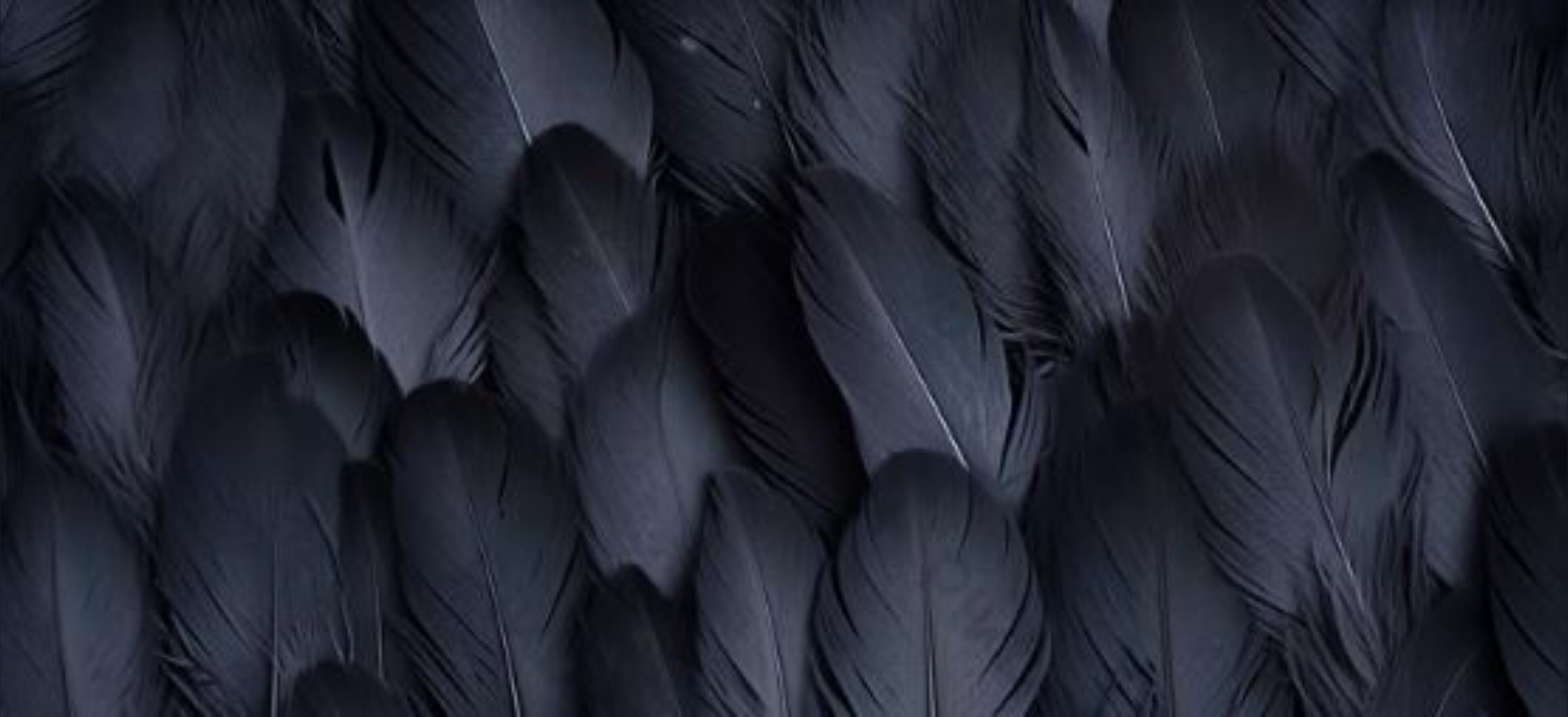Raven Rebel banner image