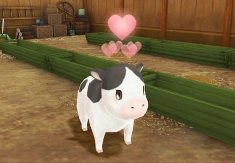 𝖐𝖆𝖗𝖎𝖓𝖆 cover image