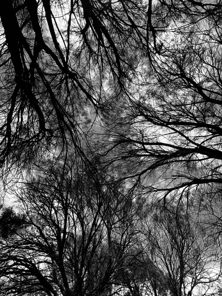 Gothnic banner image