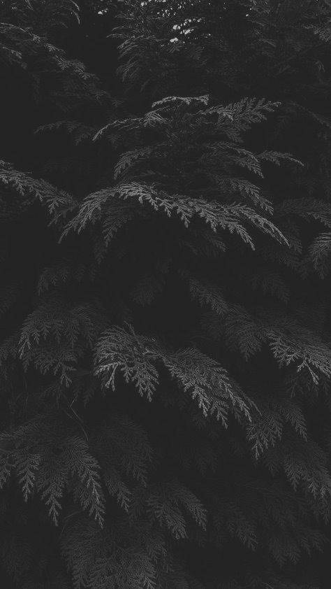 Goth Vesper banner image