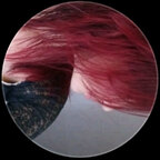 Gothana avatar