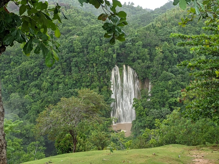 Dominican Nature banner image