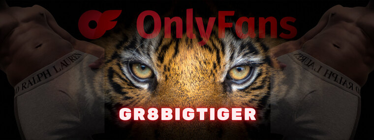 Gr8BigTiger cover image