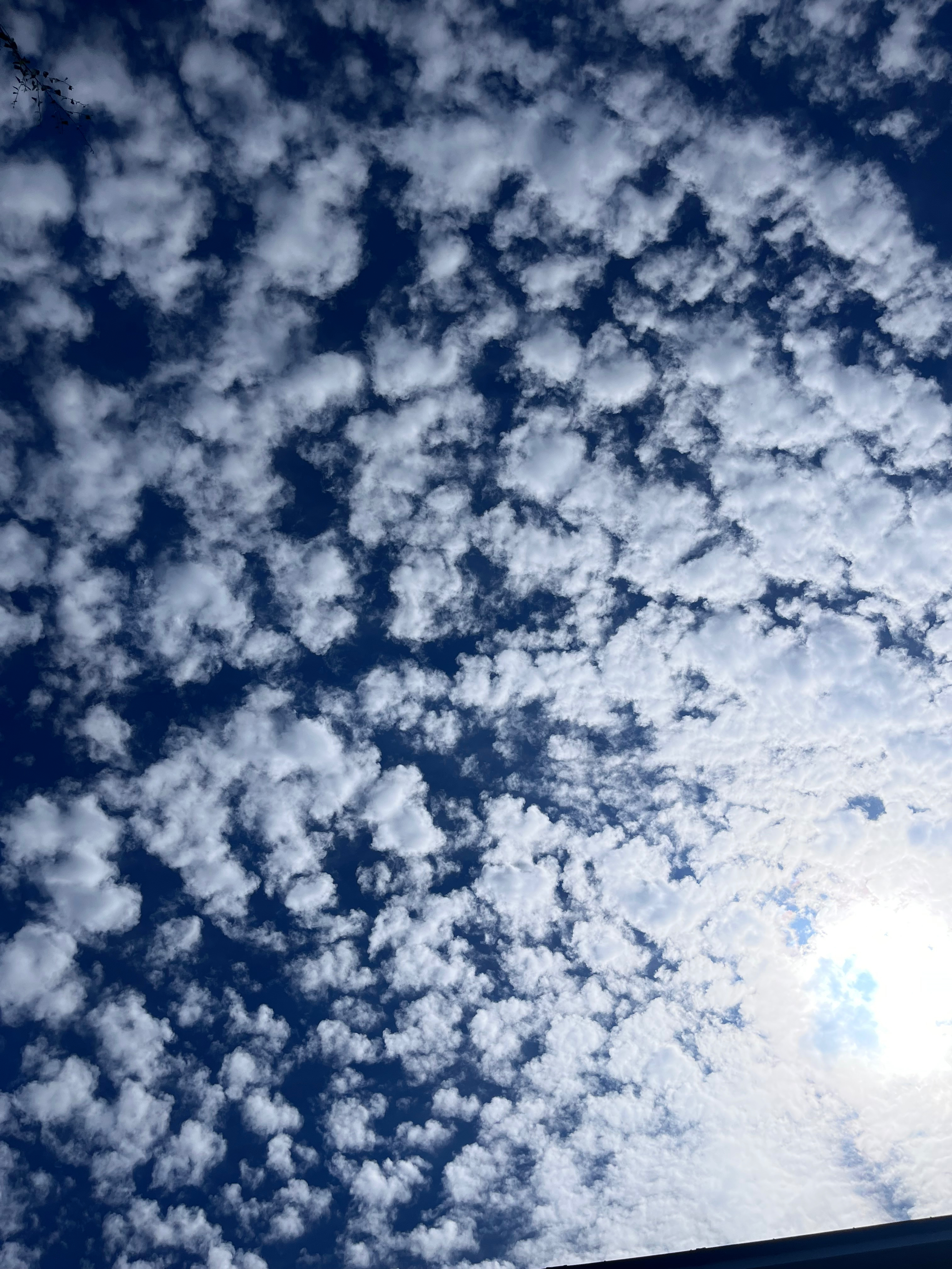 Grace π©· banner image