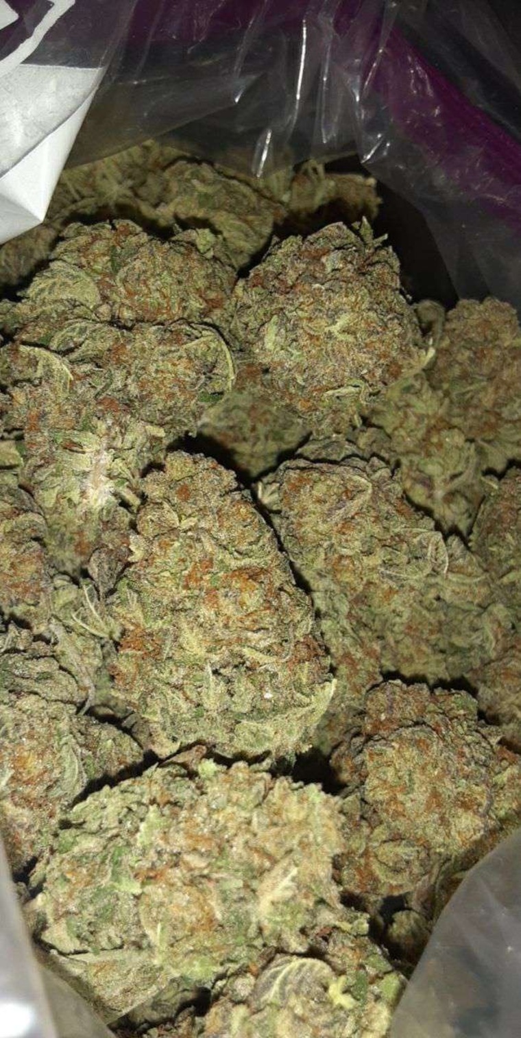 Gracie Bluntz banner image