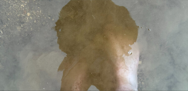 Grapeviney banner image