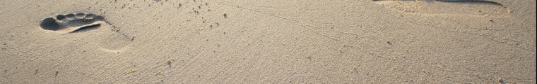 Athena Feets cover image