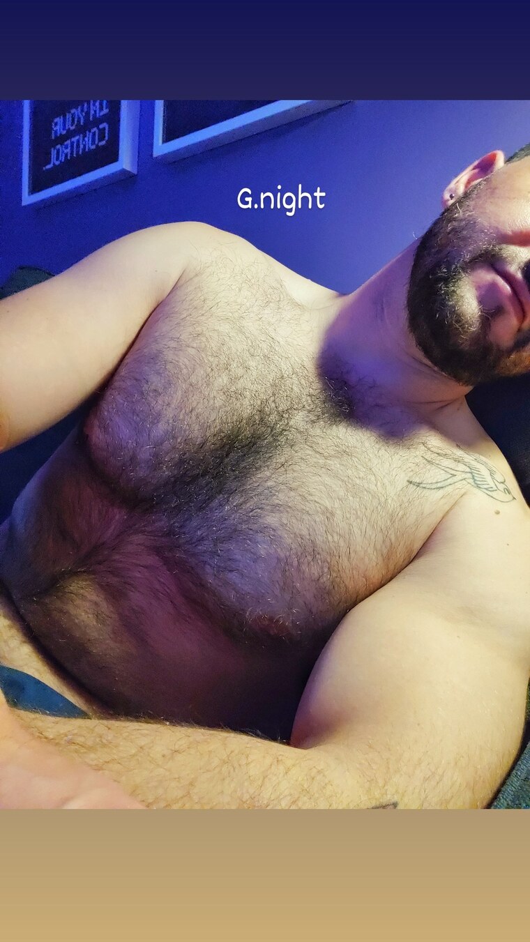 🍩 🐻 cover image