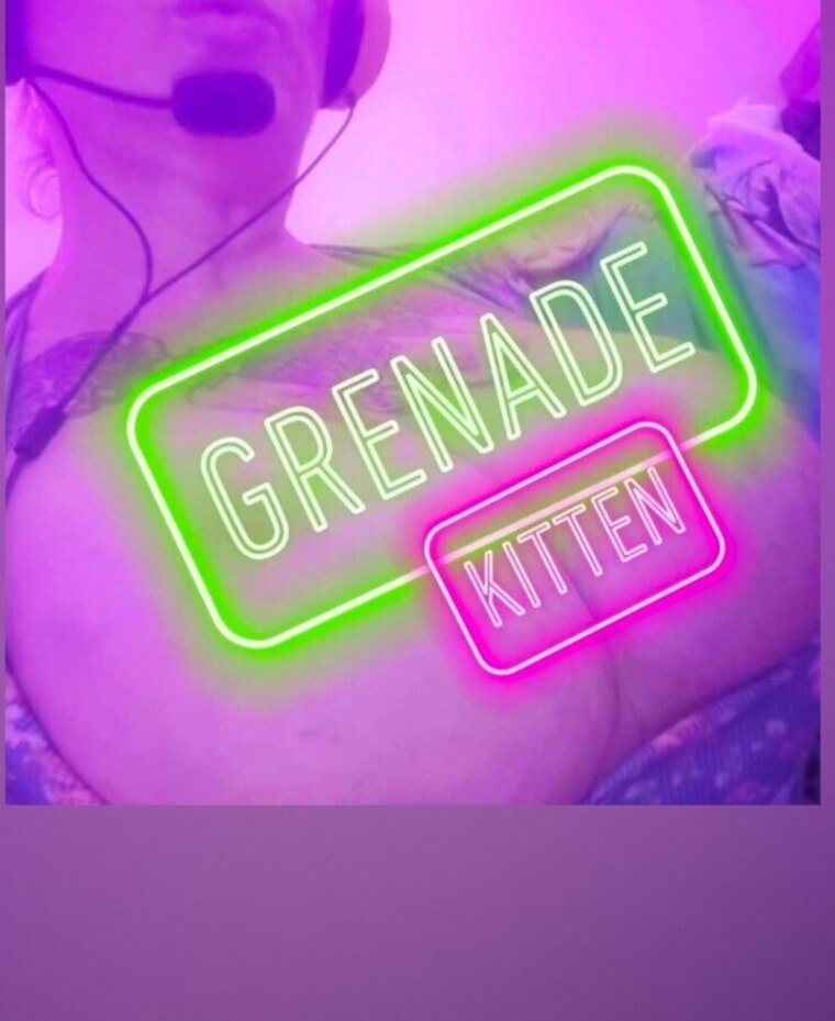 Kitten cover image