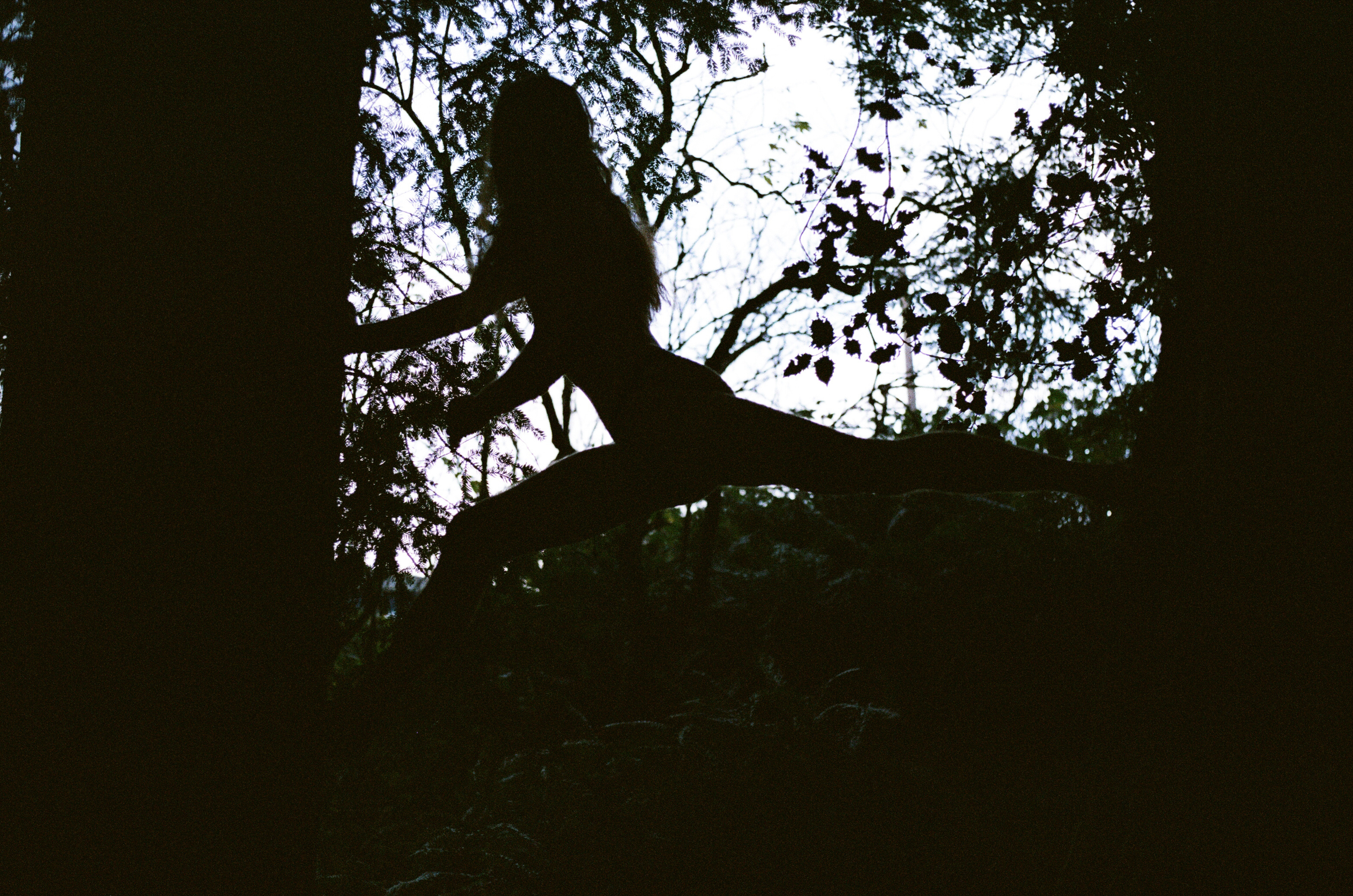Greystoke banner image