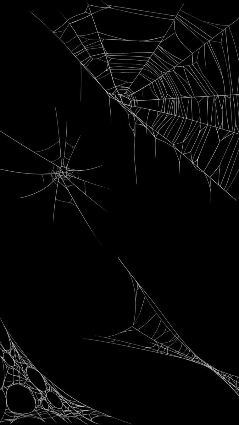 Chy 🕸️🕷️ cover image