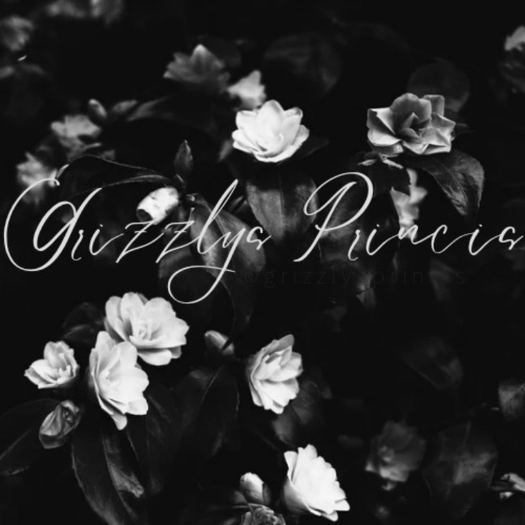 Honey Grizzly banner image