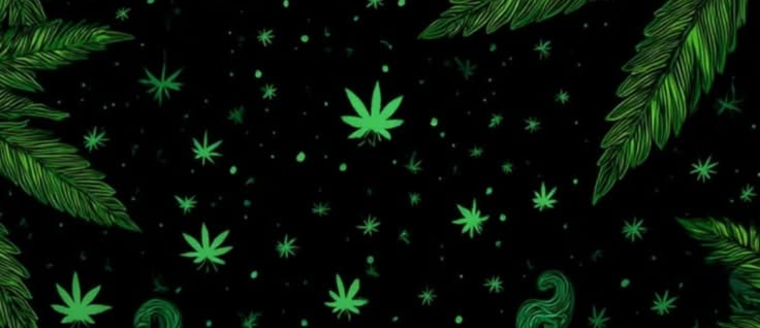 Katie cover image