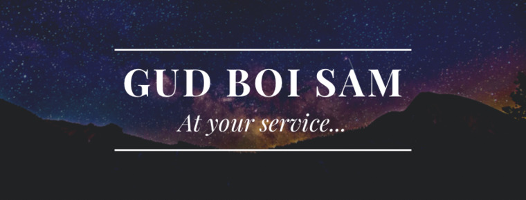 Gud Boi Sam cover image