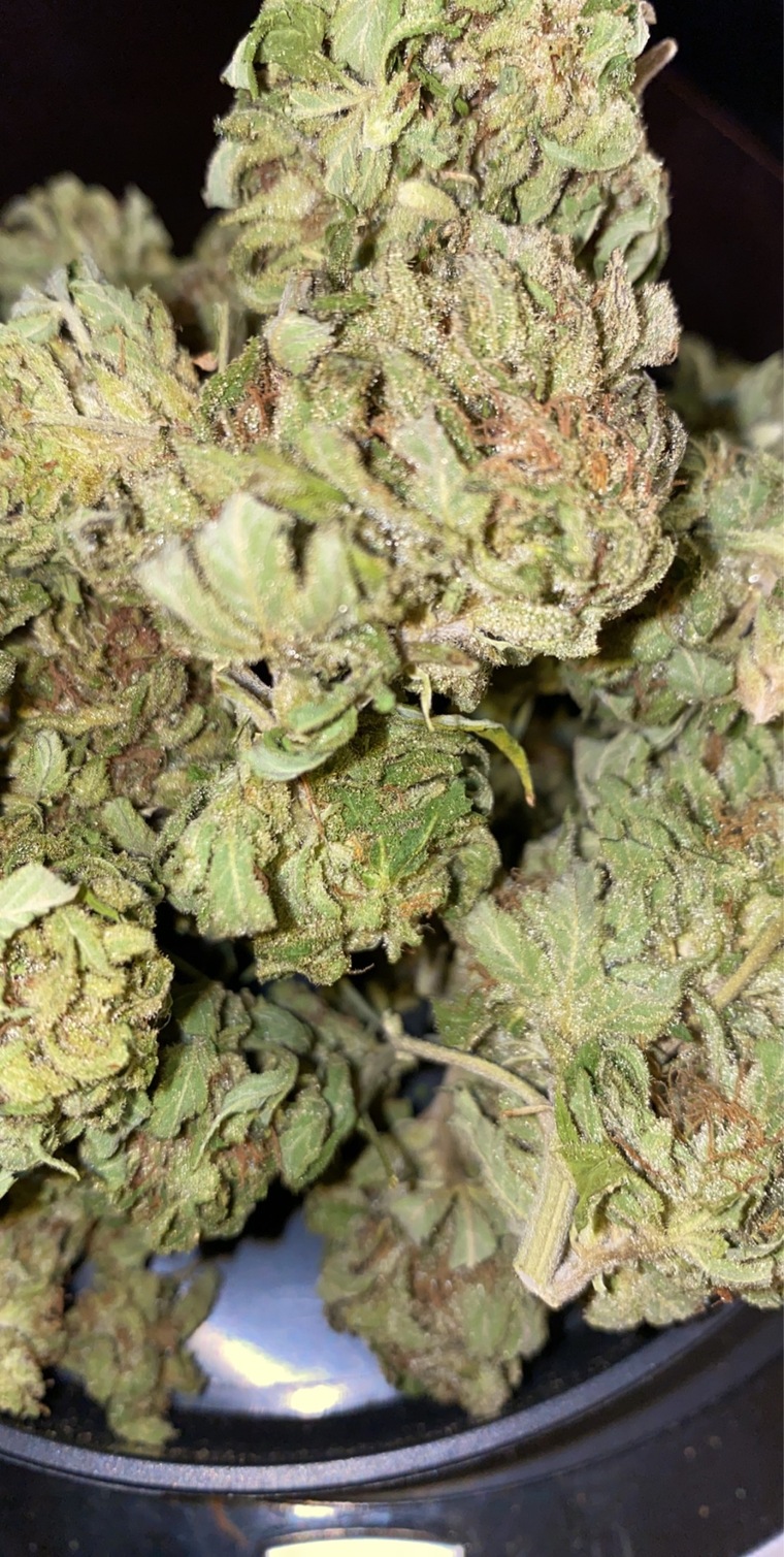 Gushnlush banner image
