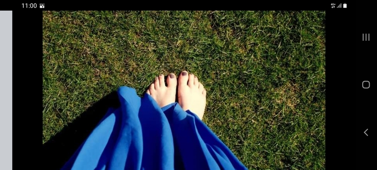 WhistleFeet cover image