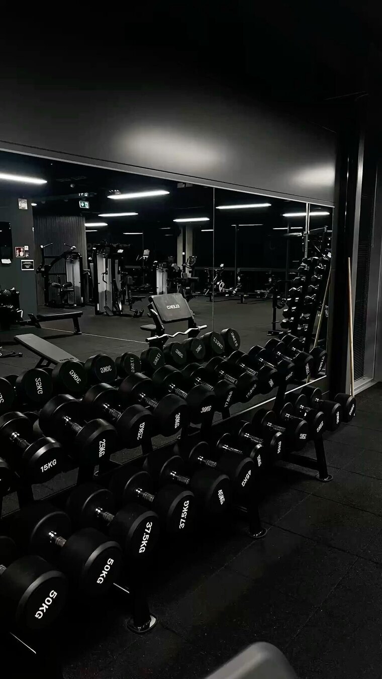 Gym Maus cover image