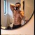 Gym_Rat_Boi avatar